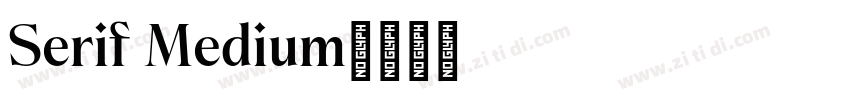 Serif Medium字体转换